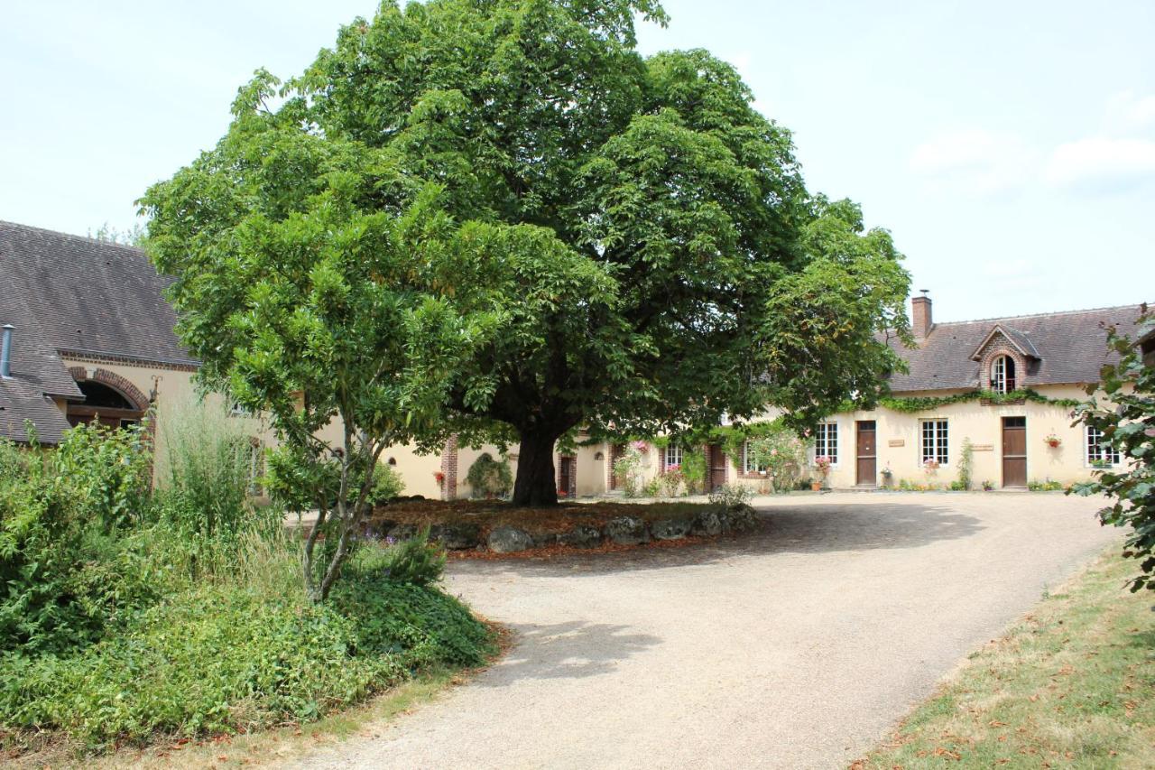 Gite Des Etangs De Beaulieu Le Plessis-Dorin Exteriér fotografie