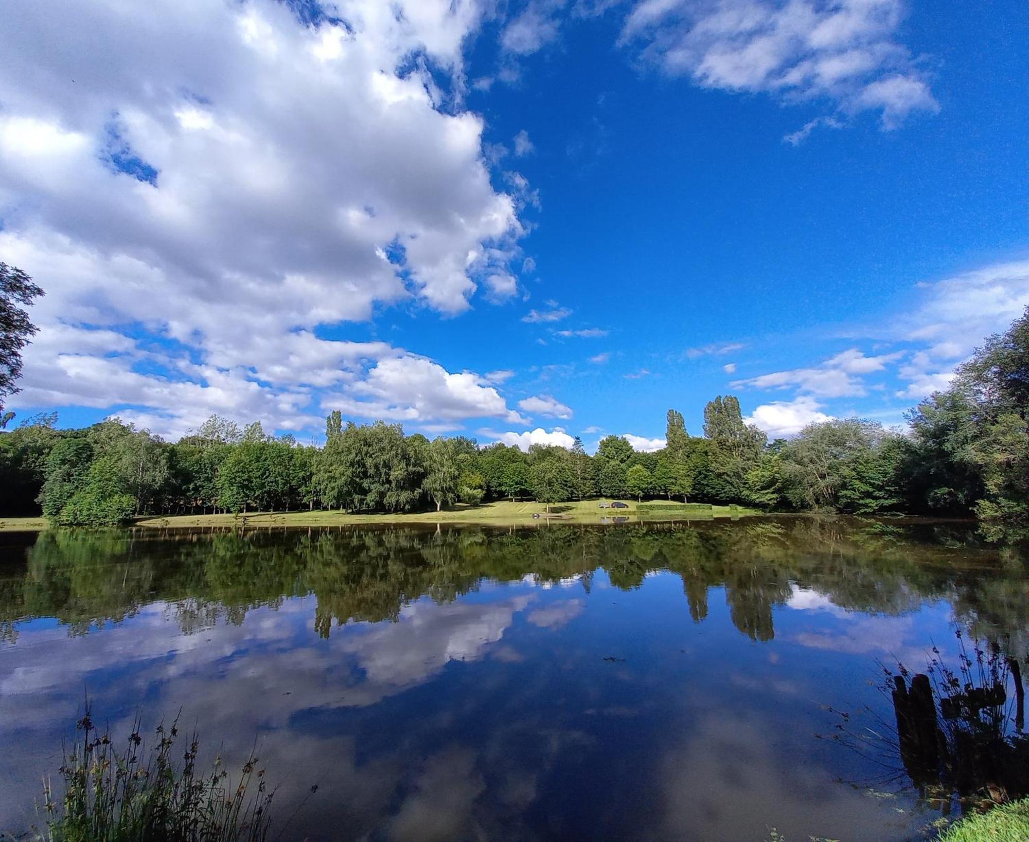 Gite Des Etangs De Beaulieu Le Plessis-Dorin Exteriér fotografie