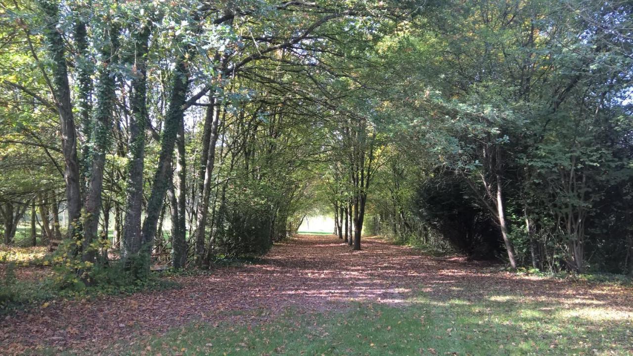 Gite Des Etangs De Beaulieu Le Plessis-Dorin Exteriér fotografie