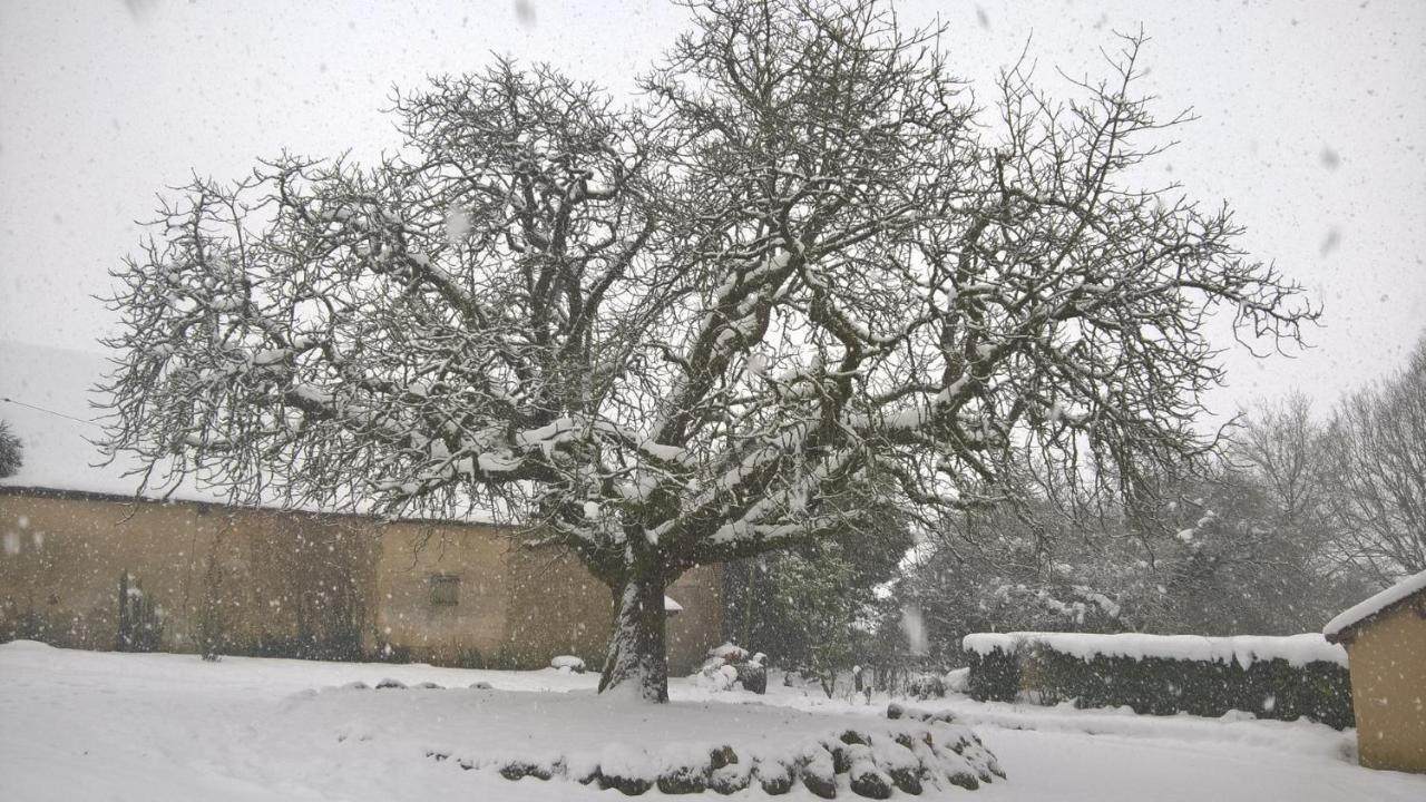 Gite Des Etangs De Beaulieu Le Plessis-Dorin Exteriér fotografie